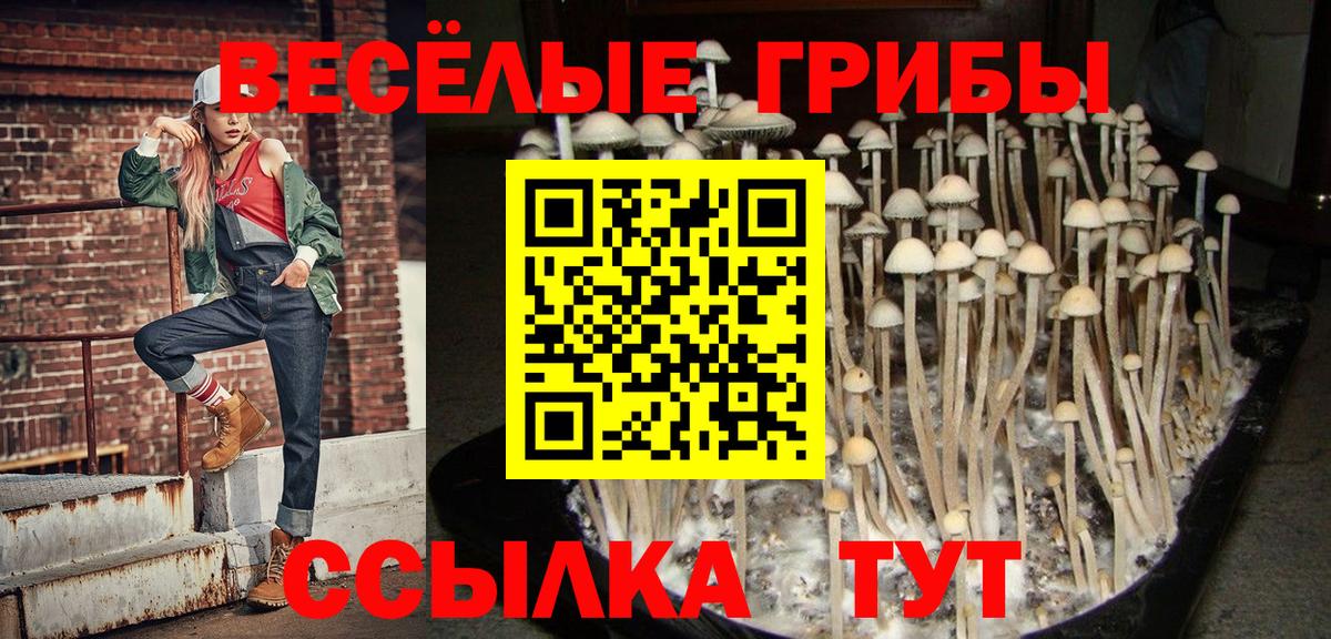 Галлюциногенные грибы Magic Shrooms Ачхой-Мартан
